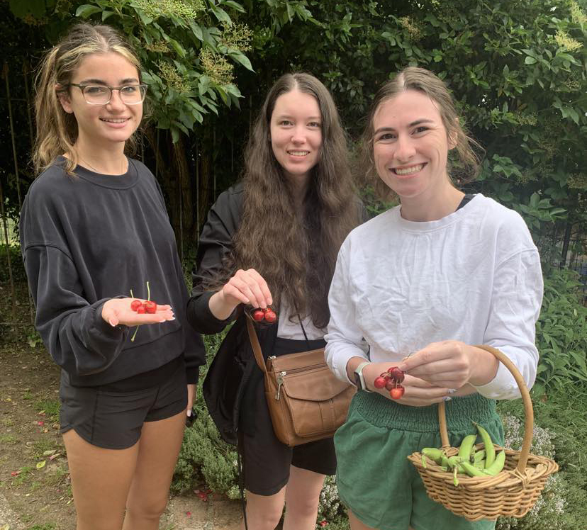 Students gather cherries and beans from chef and author Aglaia Kremezi’s garden and orchard. 