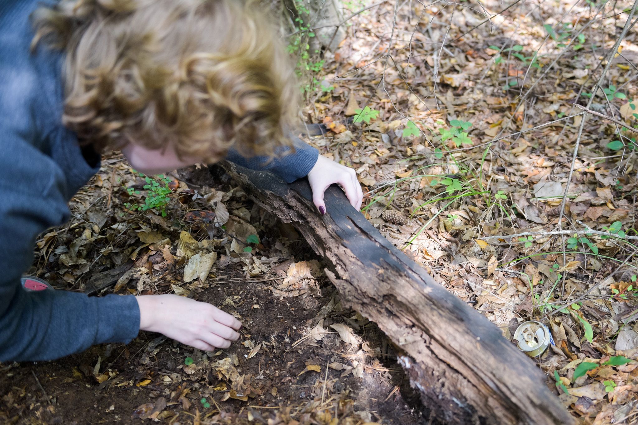 Sophomore Sydney Irons looks under a rotting log for millipedes.
