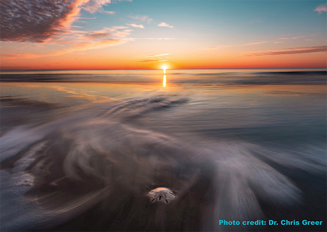 Beach at sunset