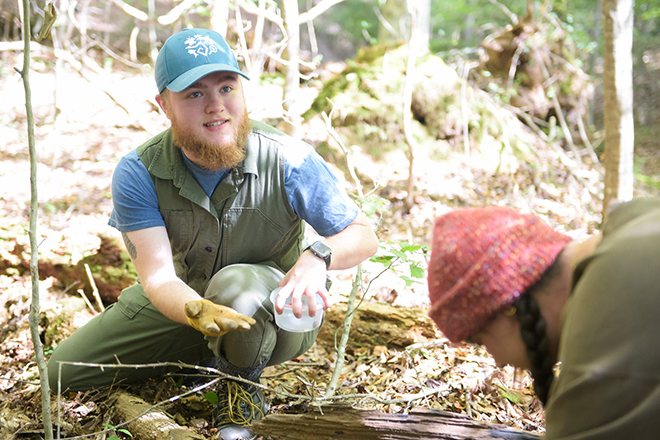 Image for GCSU ecologist and students spotlight the unknown underworld of millipedes