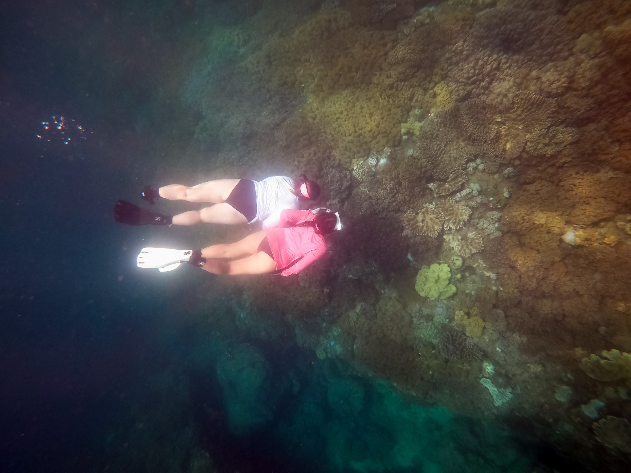 Two students swimming during a snorkel trip.