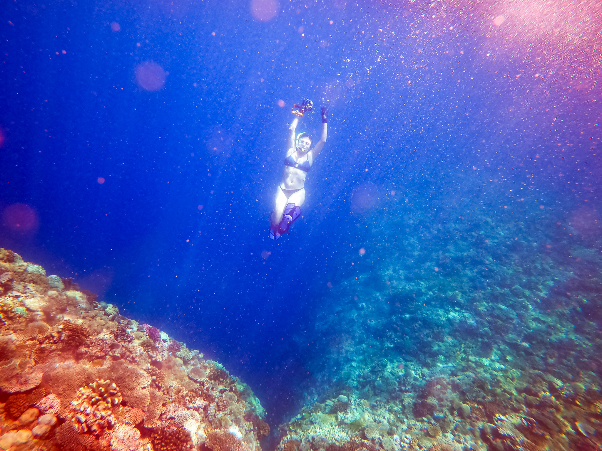 Among royal blue water, a lone female student in goggles floats in a sea of oranges and reds.