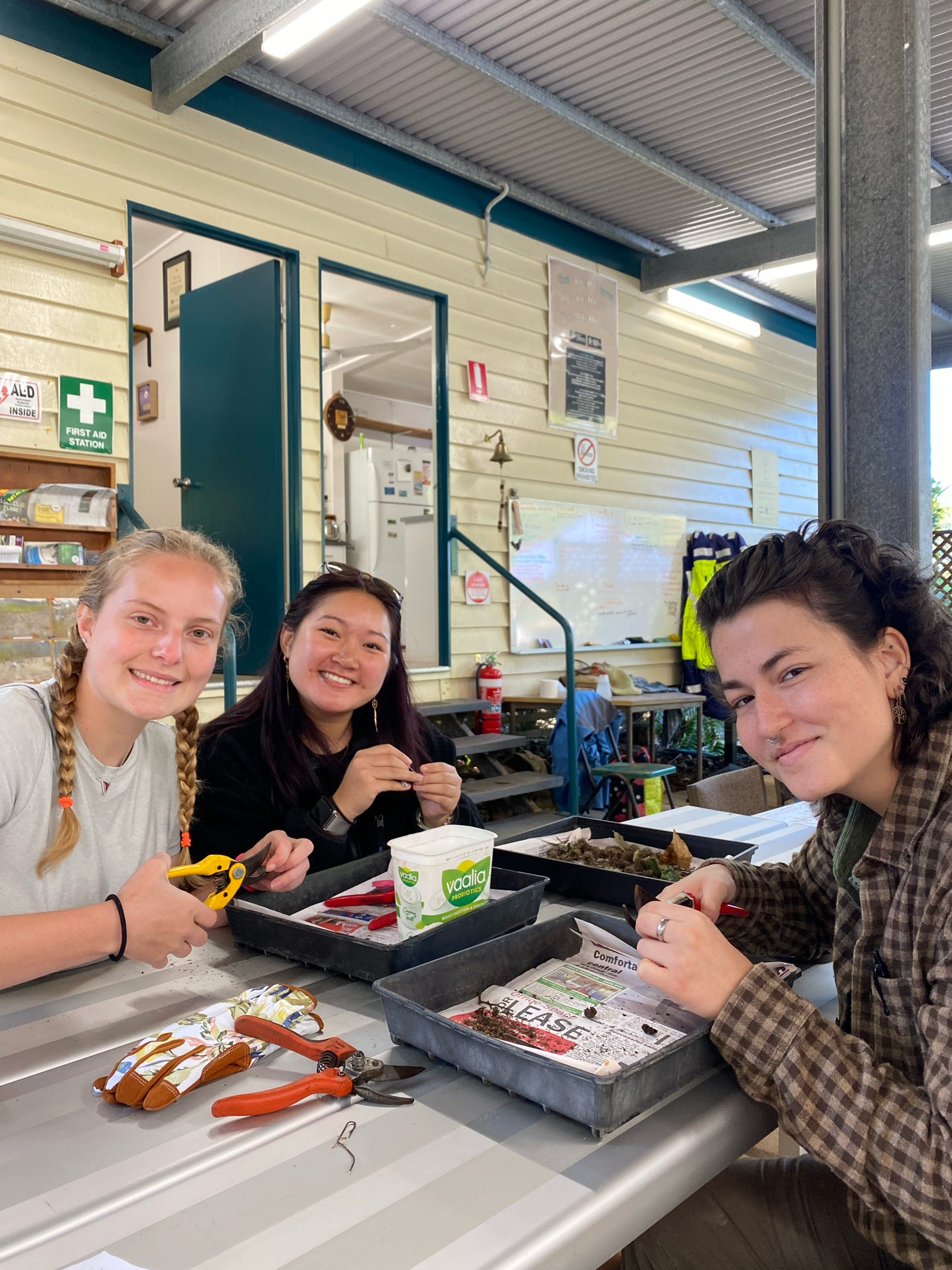 Senior biology major Natalie Skye Mears, right, at camp in an Australian rainforest.