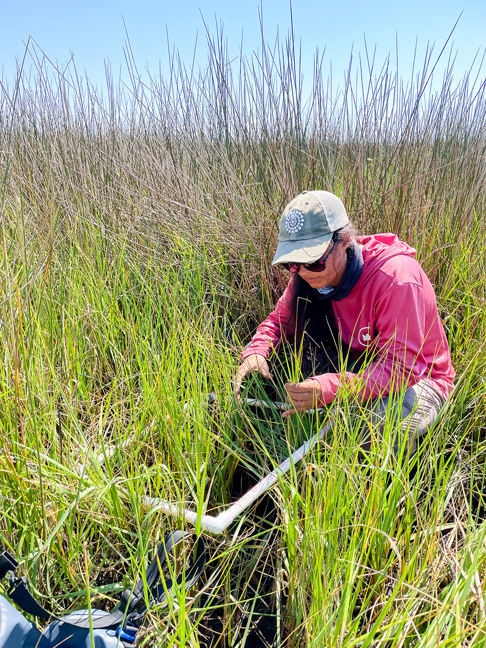 Nadya works among tall grass.