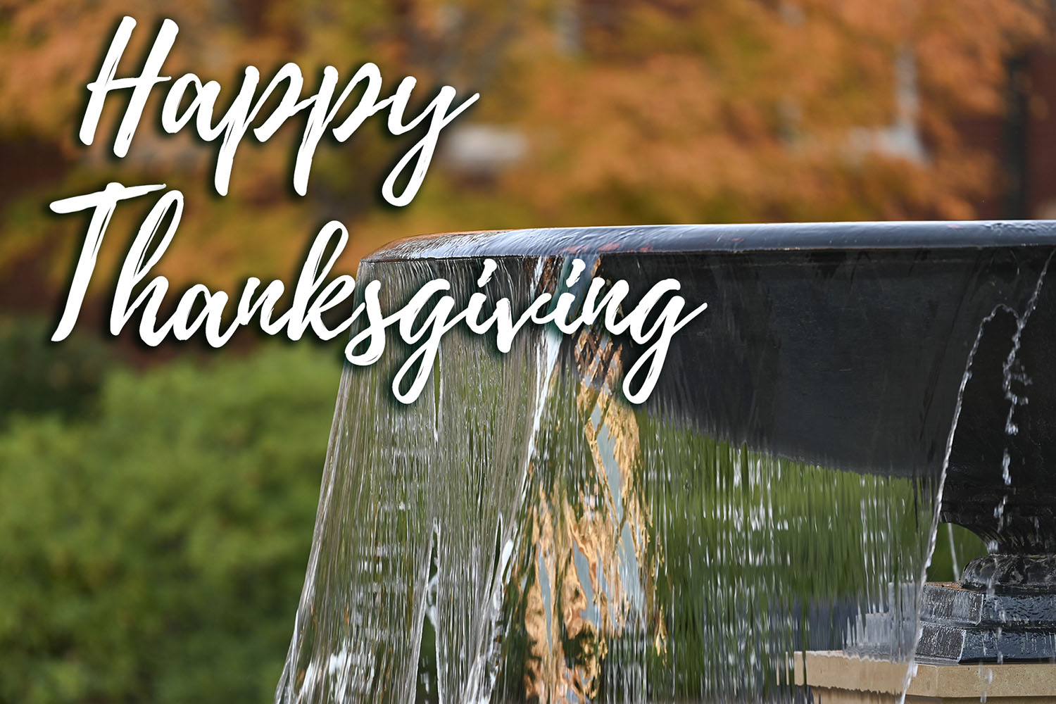 Image for Happy Thanksgiving from Georgia College & State University