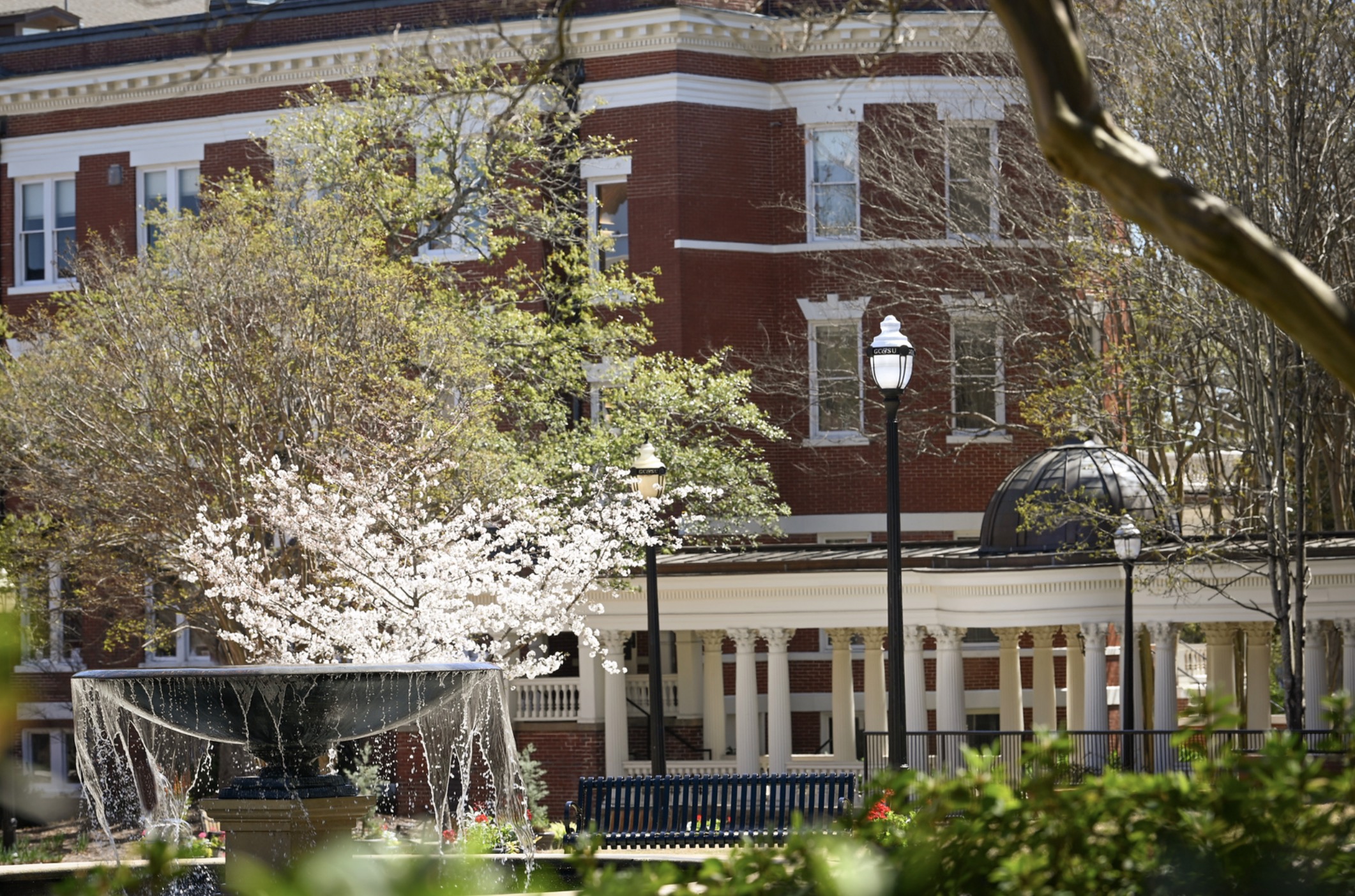 Image for Happy Spring, Bobcats!