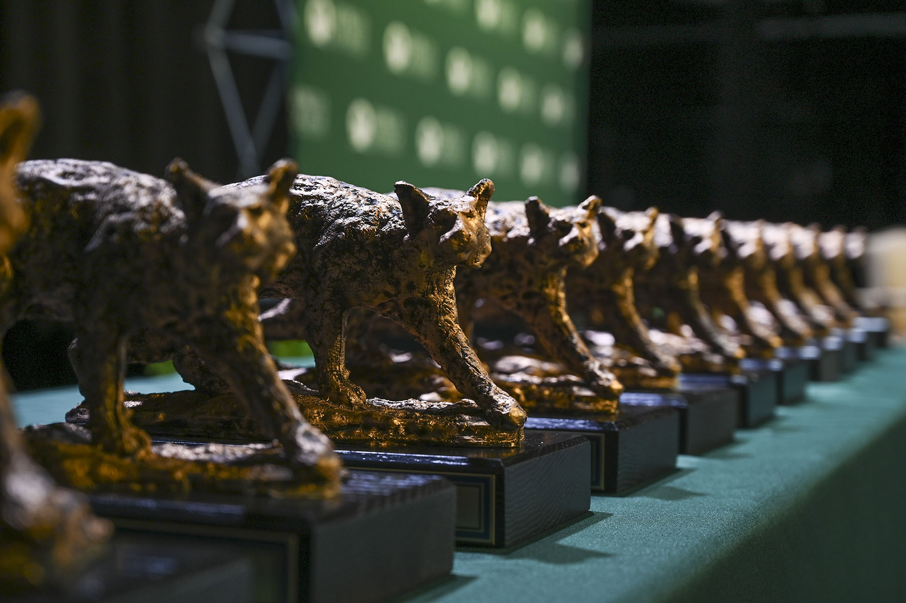 Image for Celebration of Excellence: Congratulations to the 2025 Award Winners