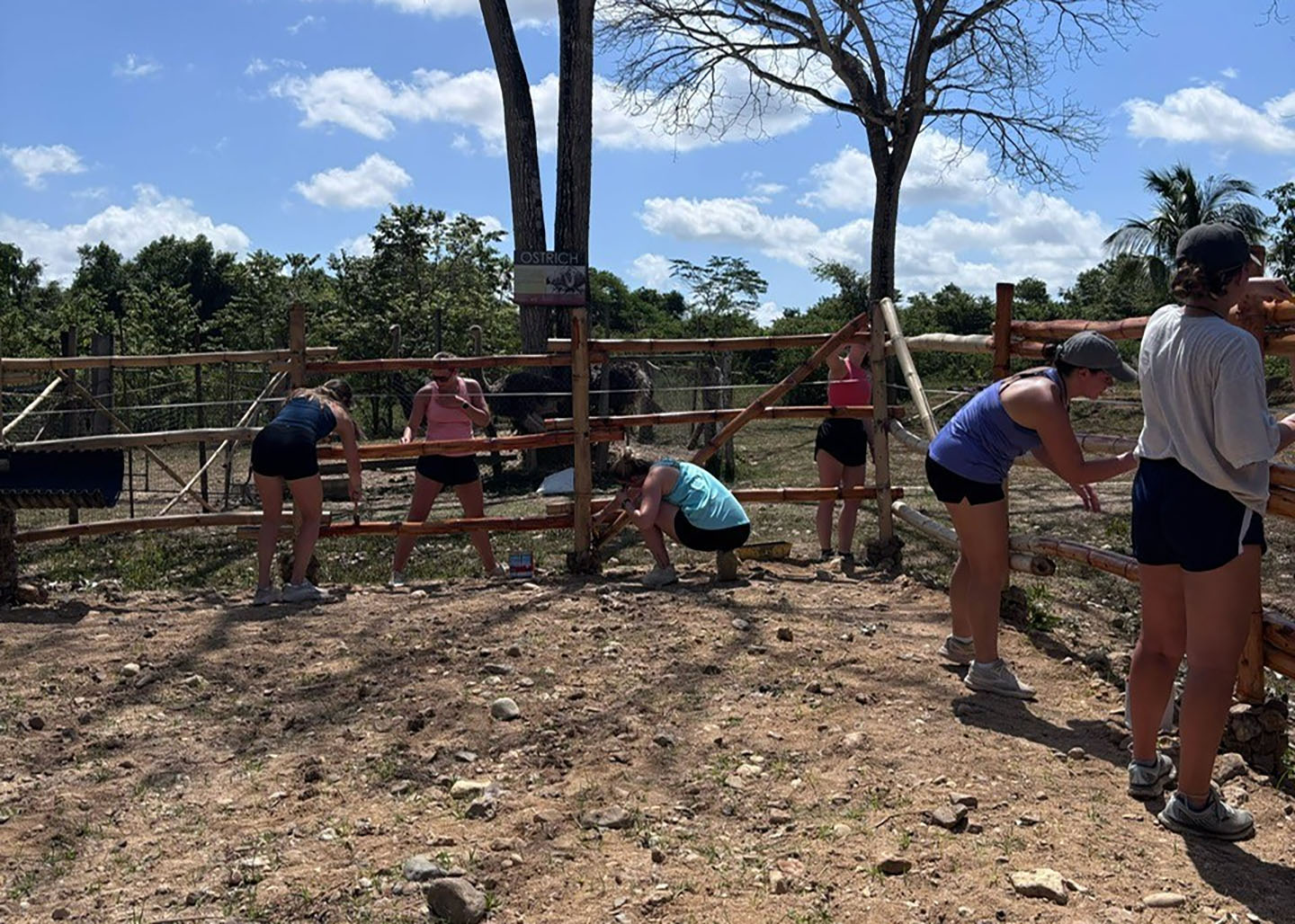 Belize Public Health Study Abroad 2025