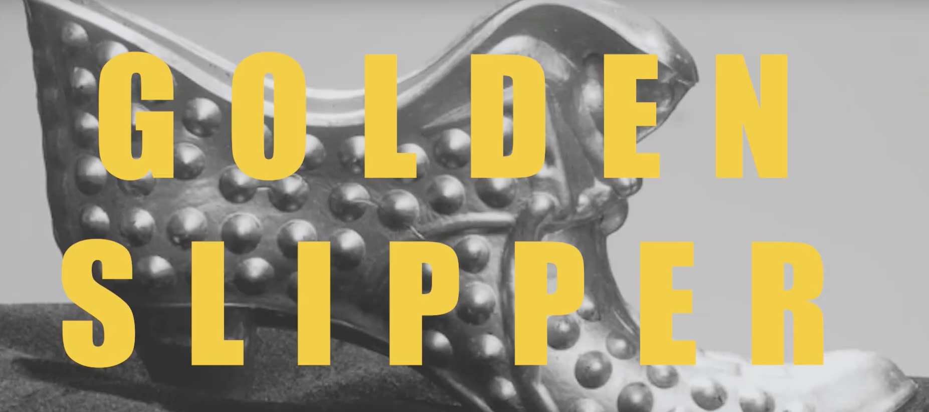 Image for Sisterhood of the Golden Slipper