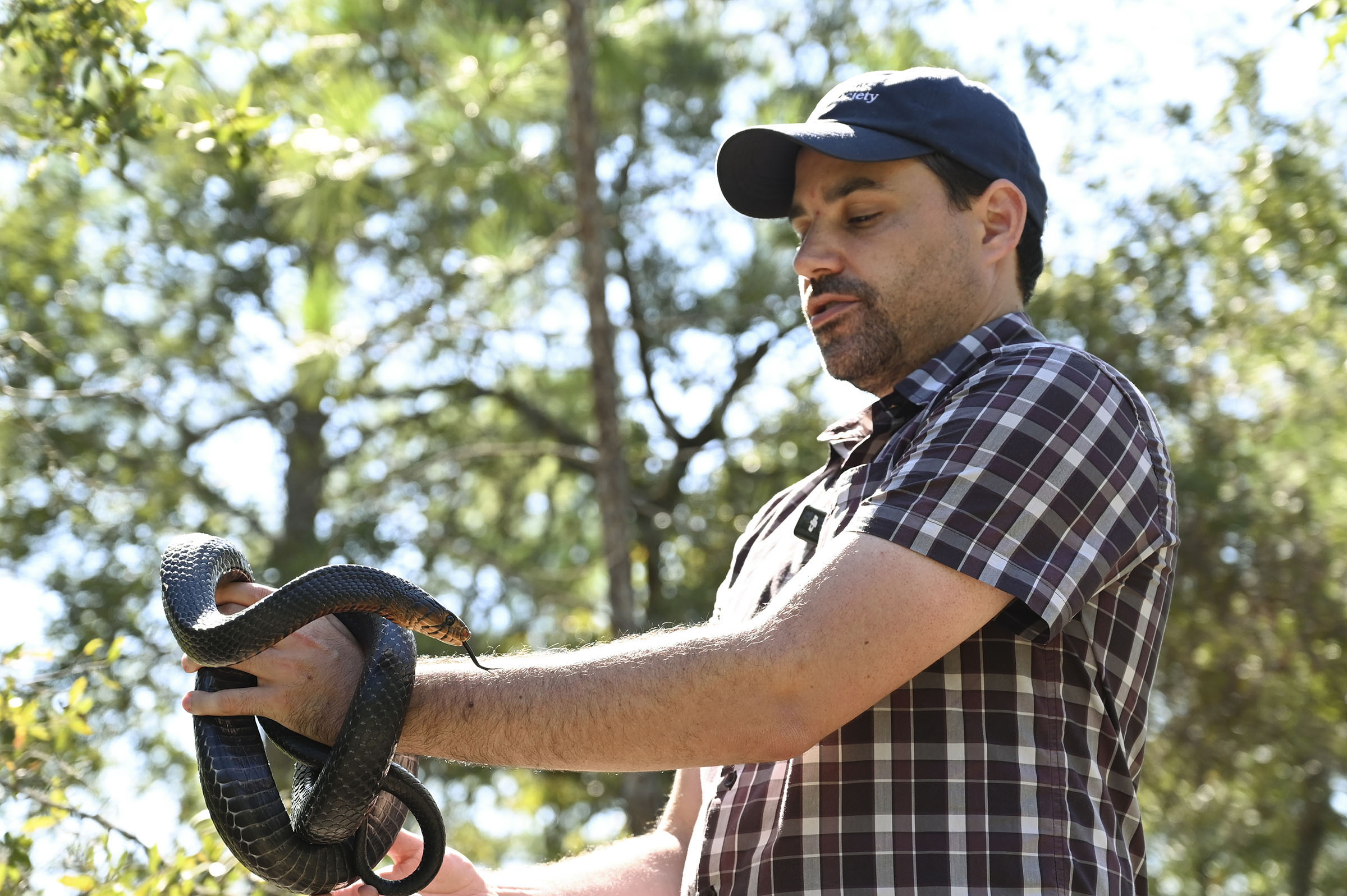 Houston Chandler holding an indigo snake