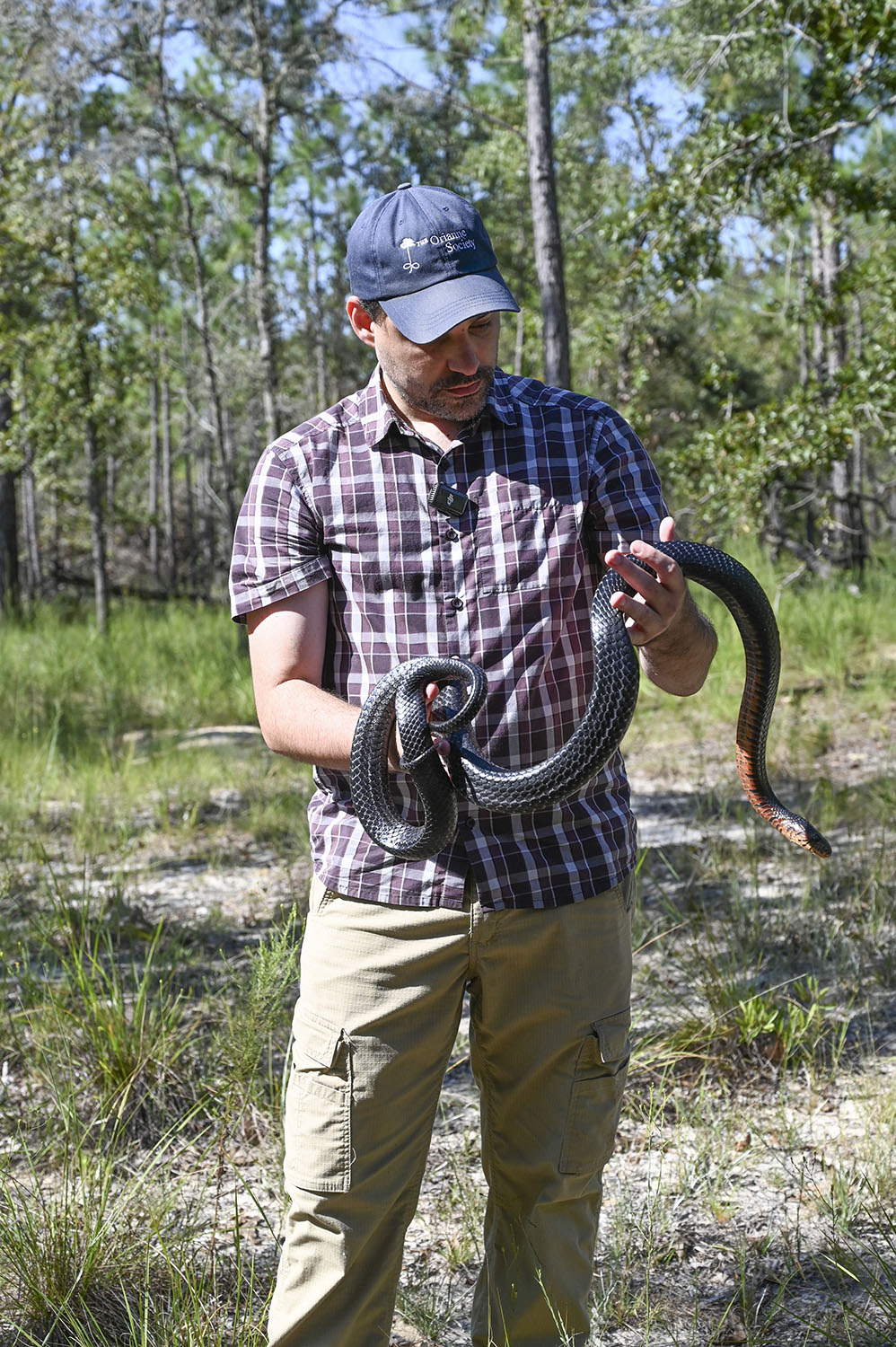 Chandler holds an indigo snake that is part of the Orianne Society captive breeding project (Photo: Anna Gay Leavitt)