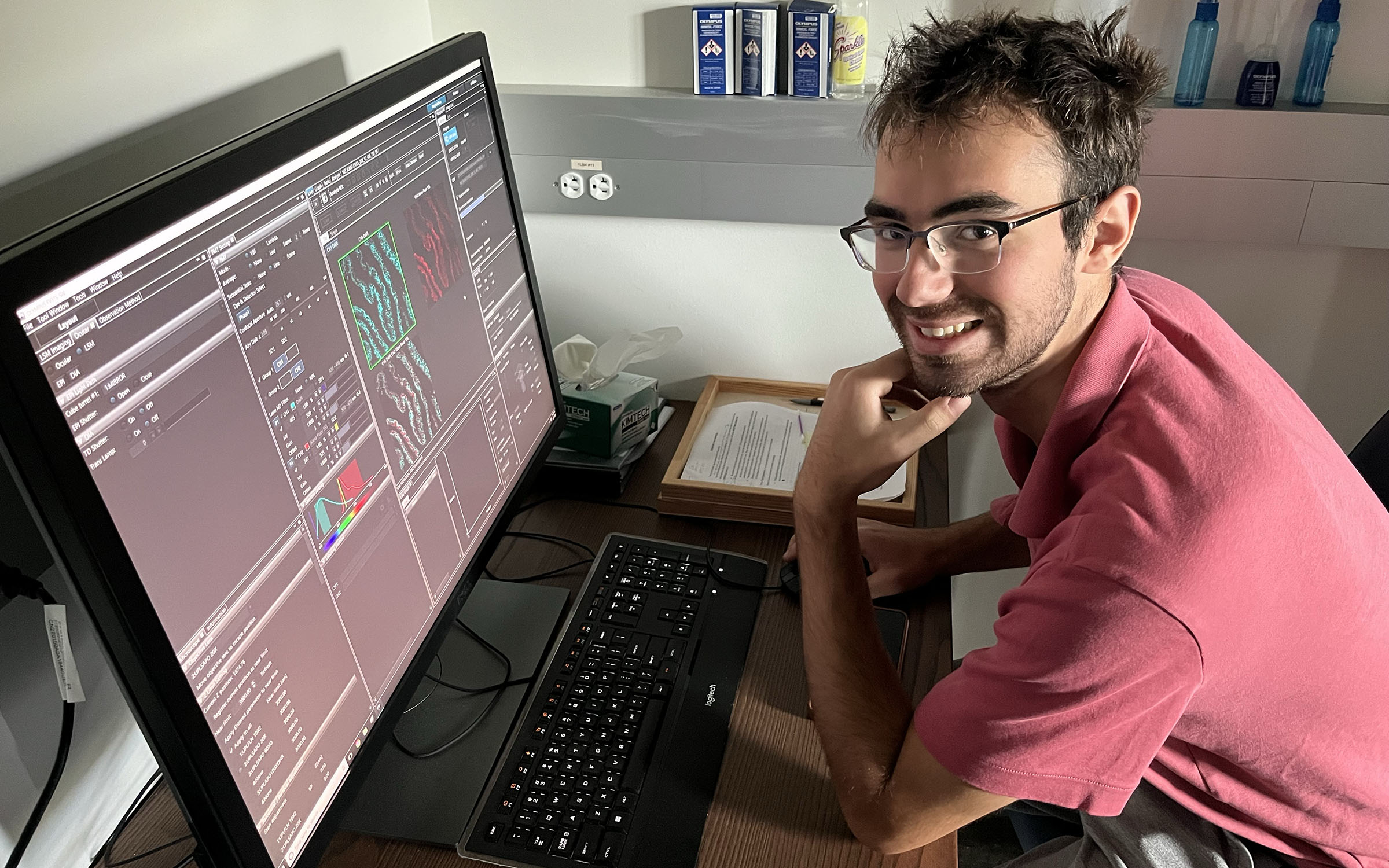 MURACE Henry Schneider