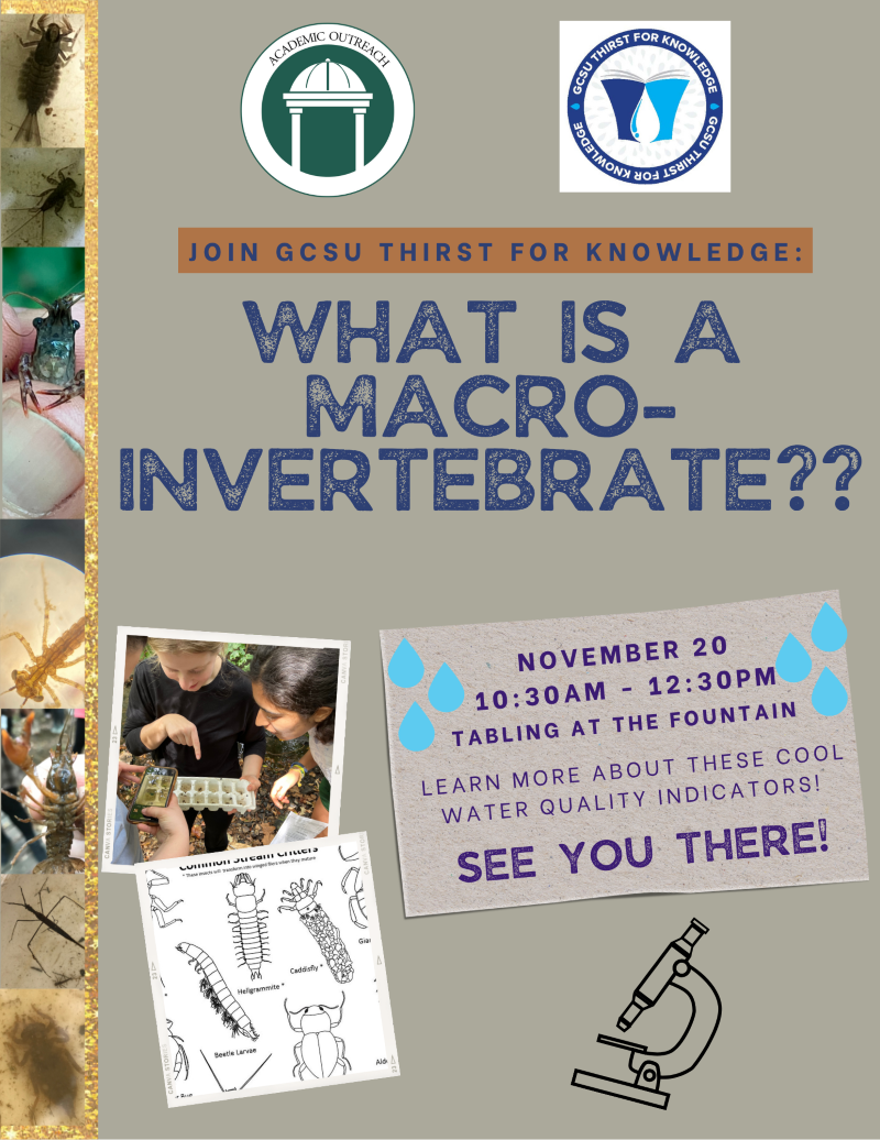 macroinvertebrates flyer