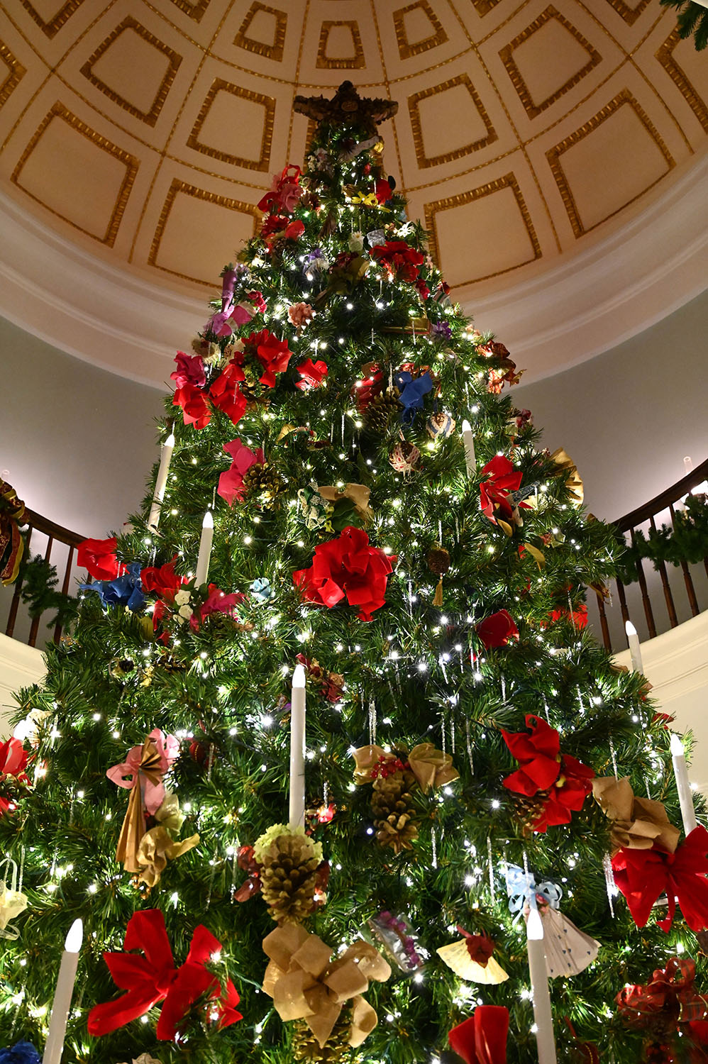 A 22-foot tall Christmas tree rises through the central rotunda in Georgia's Old Governor's Mansion. (Photo: Caroline Wood)