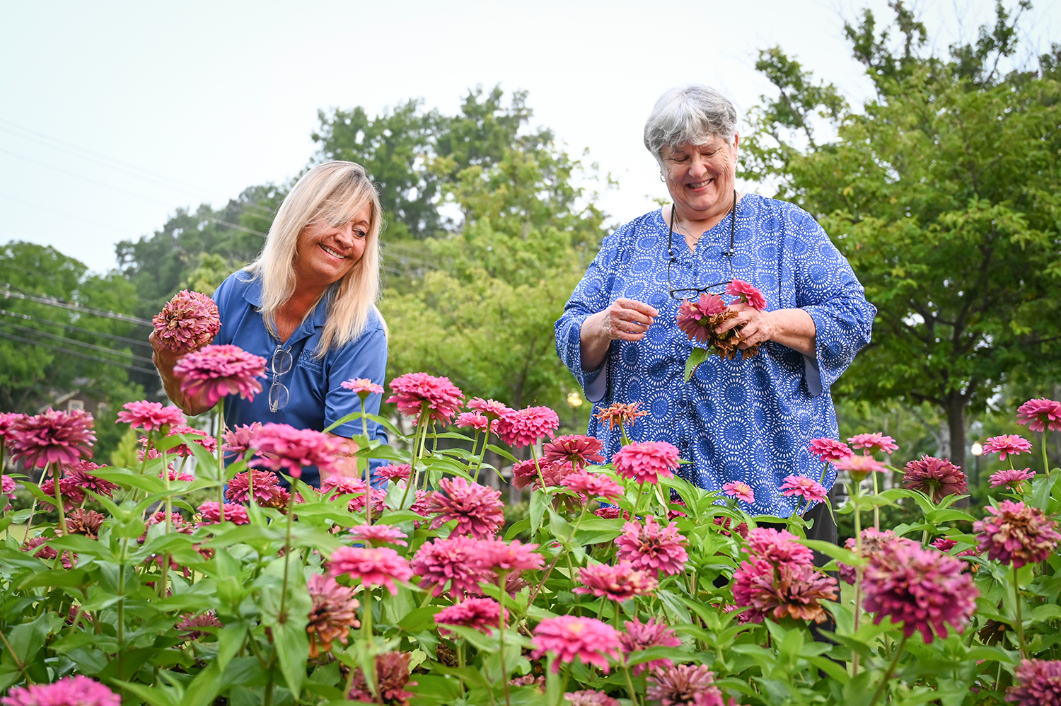 Image for DECADES OF DEDICATION: Grounds Director Susan Daniels has kept campus in full bloom for over 30 years
