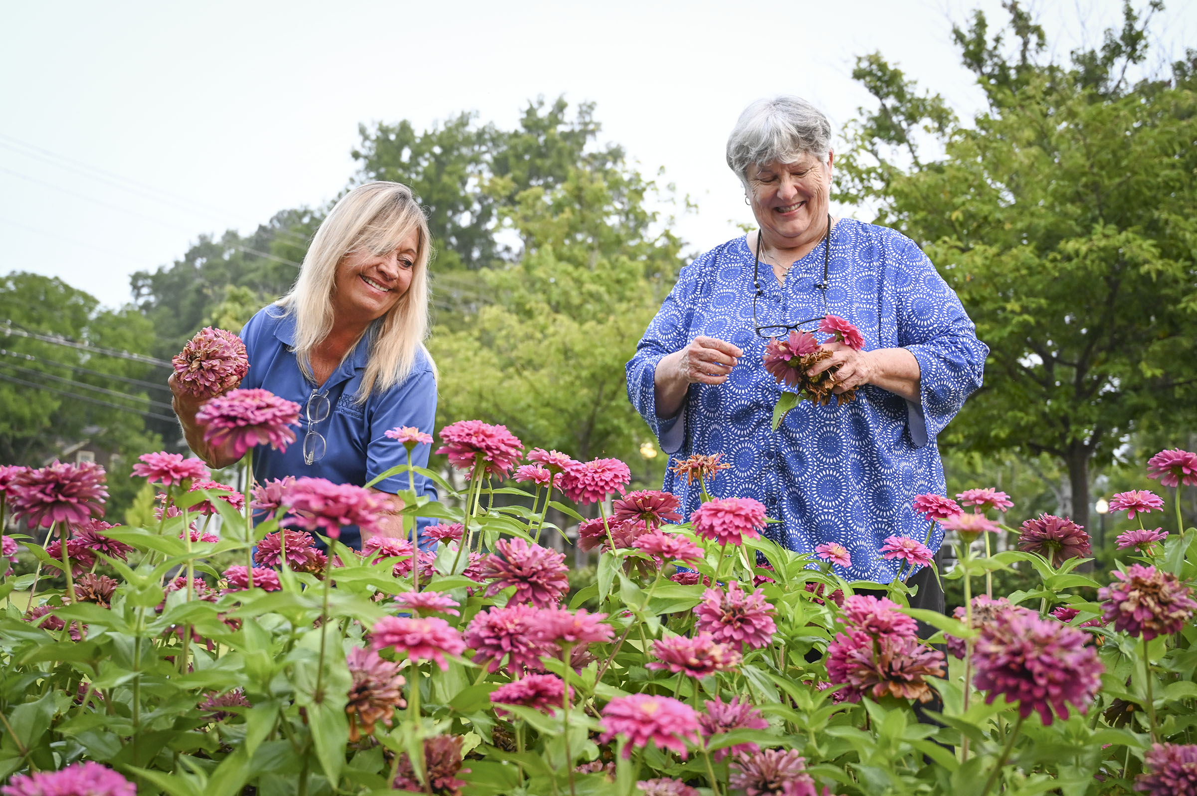 Image for DECADES OF DEDICATION: Grounds Director Susan Daniels keeps campus in full bloom for over 30 years