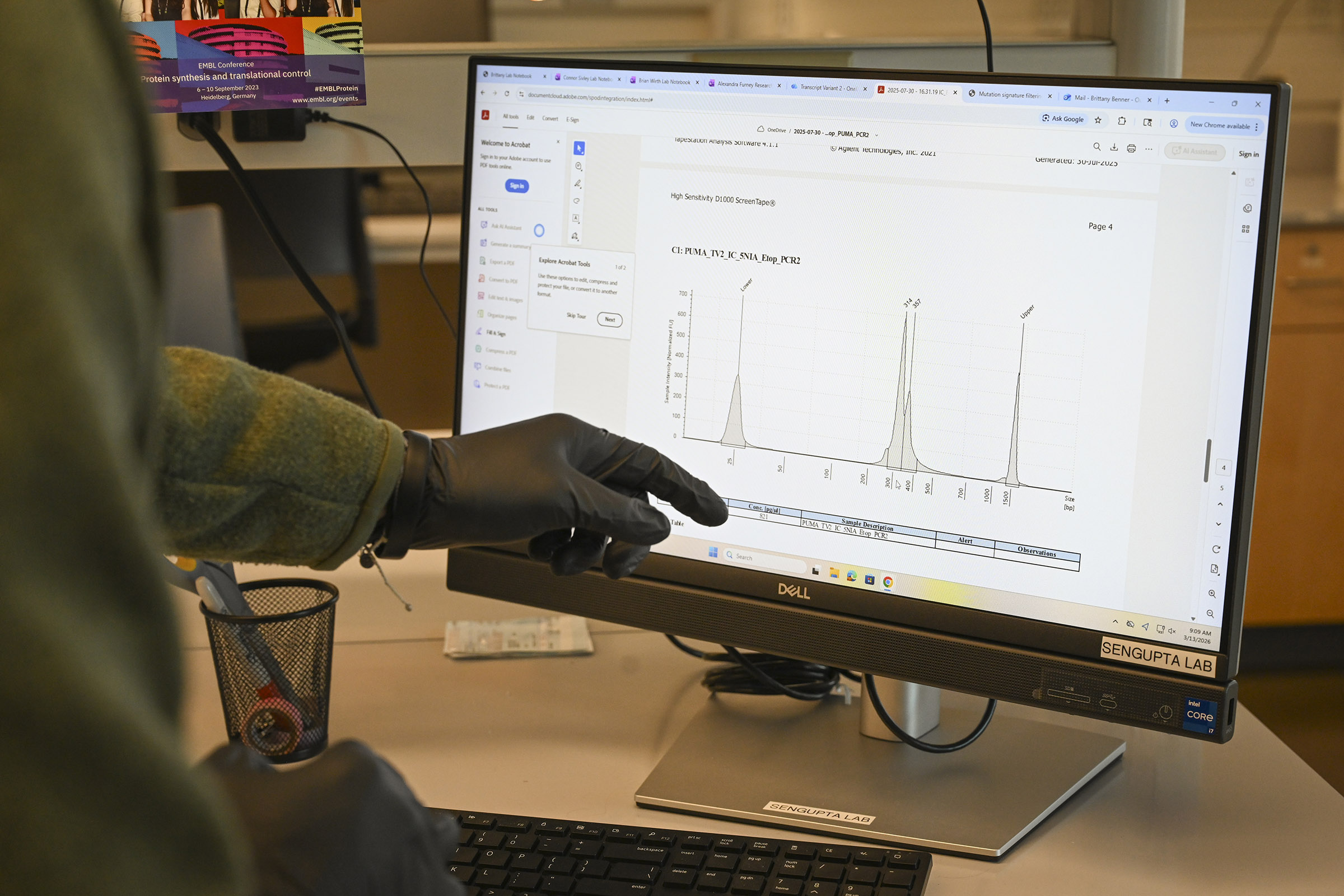 Sengupta and Wirth in the lab