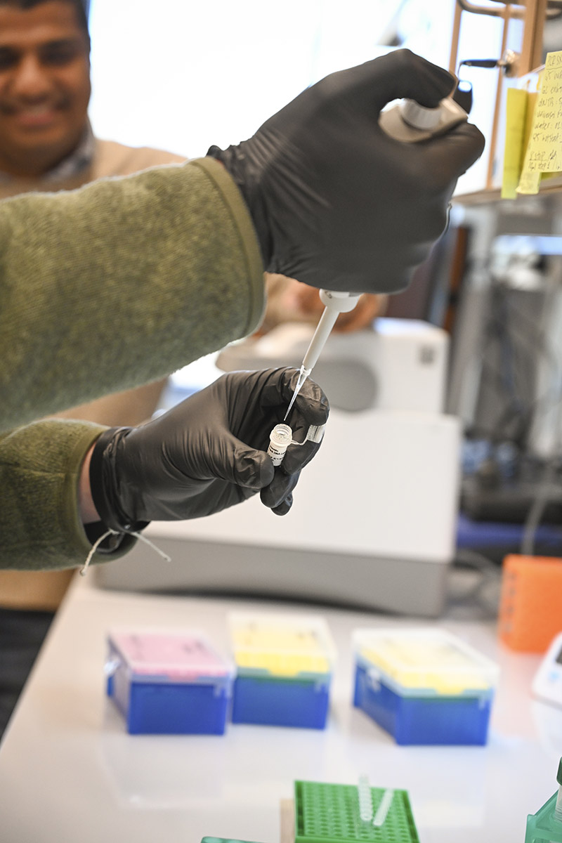 Sophomore Brian Wirth and Dr. Sengupta work in the lab. (Photo: Anna Gay Leavitt)