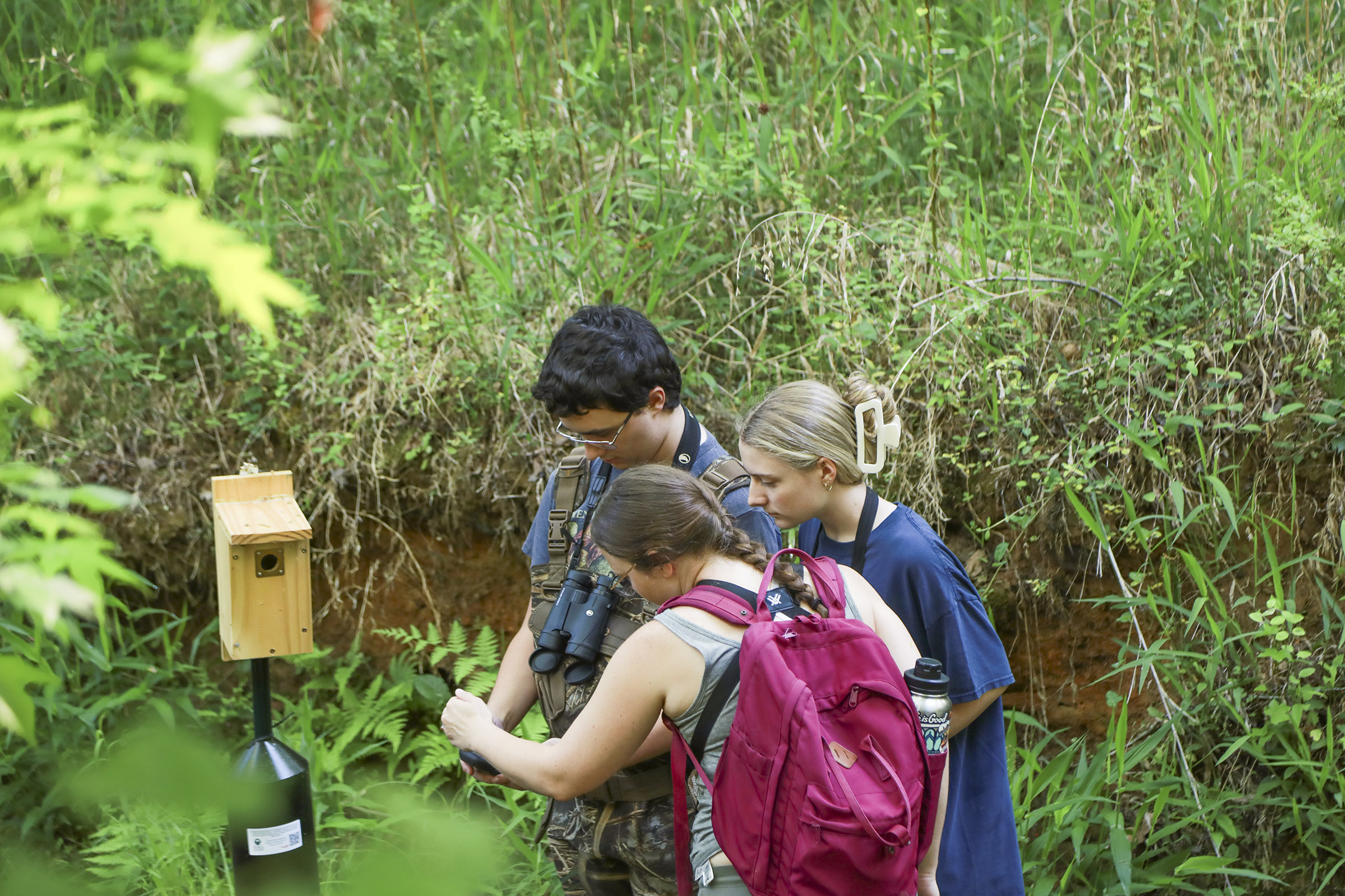 Image for GCSU ornithology students focus on conservation, drive nest box project for Georgia warblers