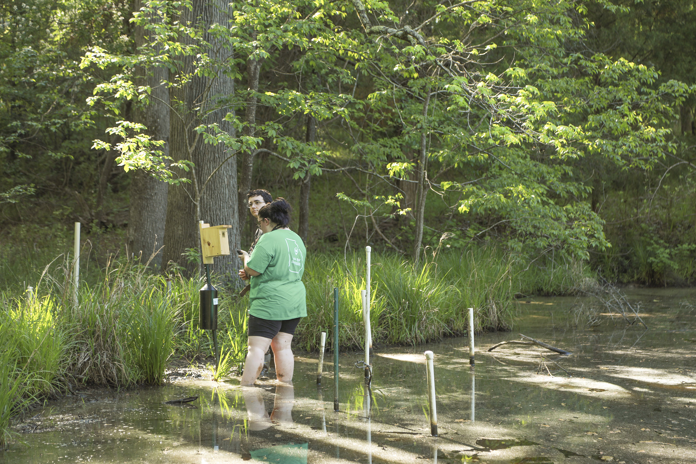 Warbler project field check