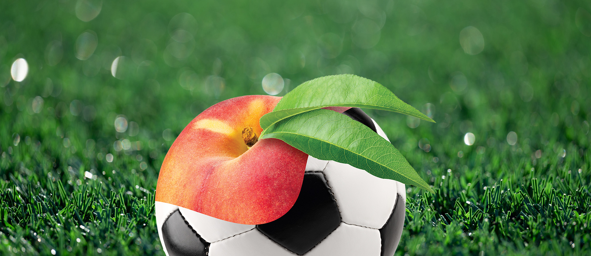 Image for World Cup welcome: GCSU alumnae leading tourism throughout Georgia