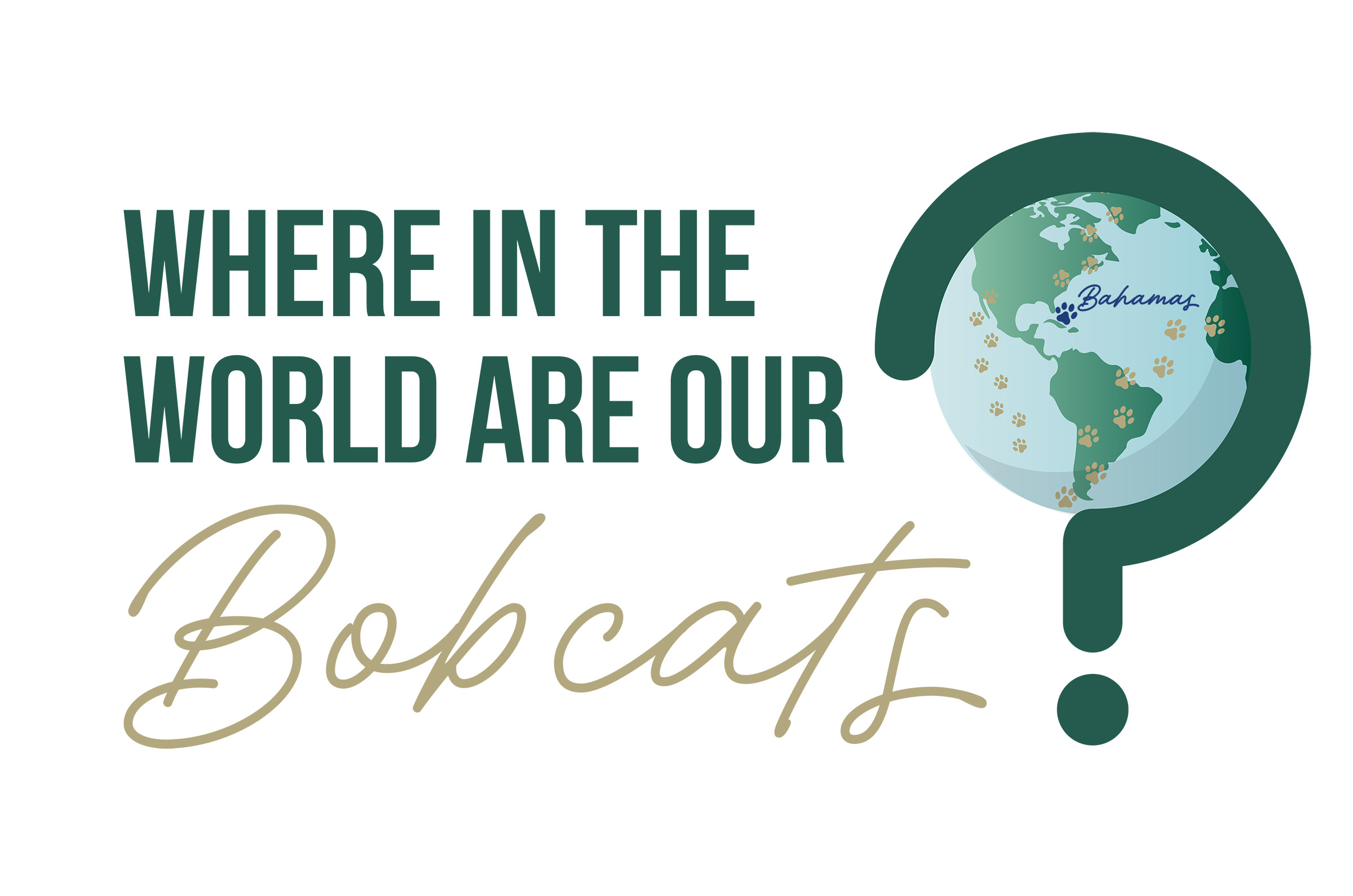Where are our Bobcats