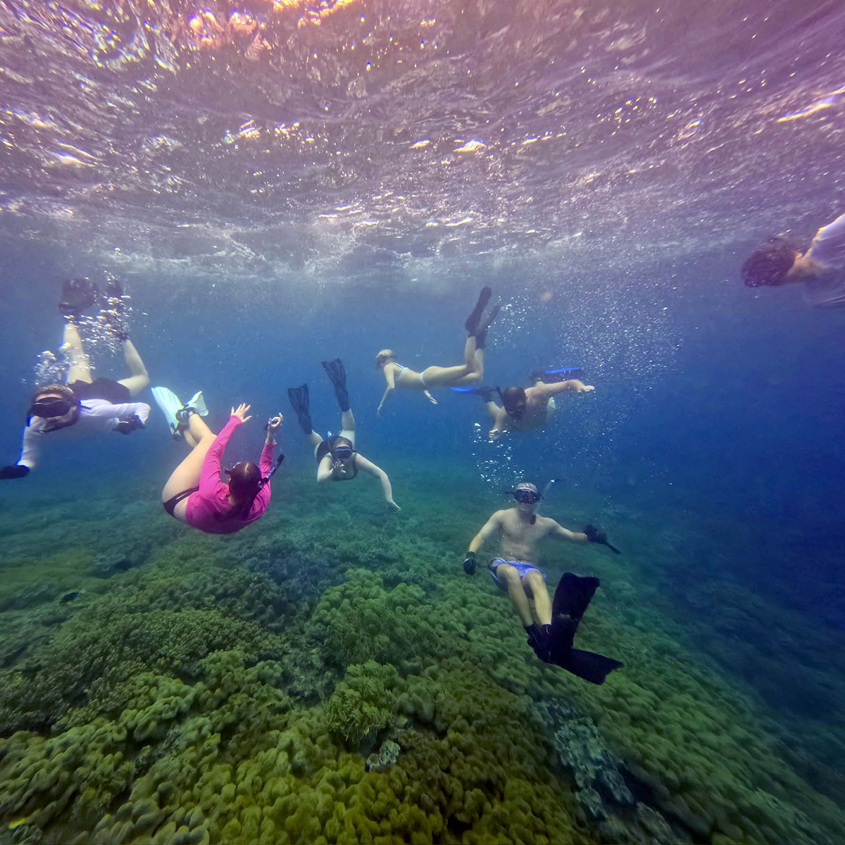 Dr. Kristine White's Okinawa study abroad students catalogued species when they snorkeled on the reefs. (Photo: Kristine White)