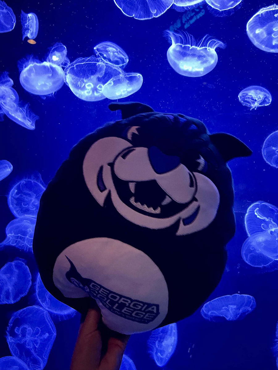 The students visited the Churaumi aquarium with Lil' Thunder along for the trip! (Photo: Kristine White)