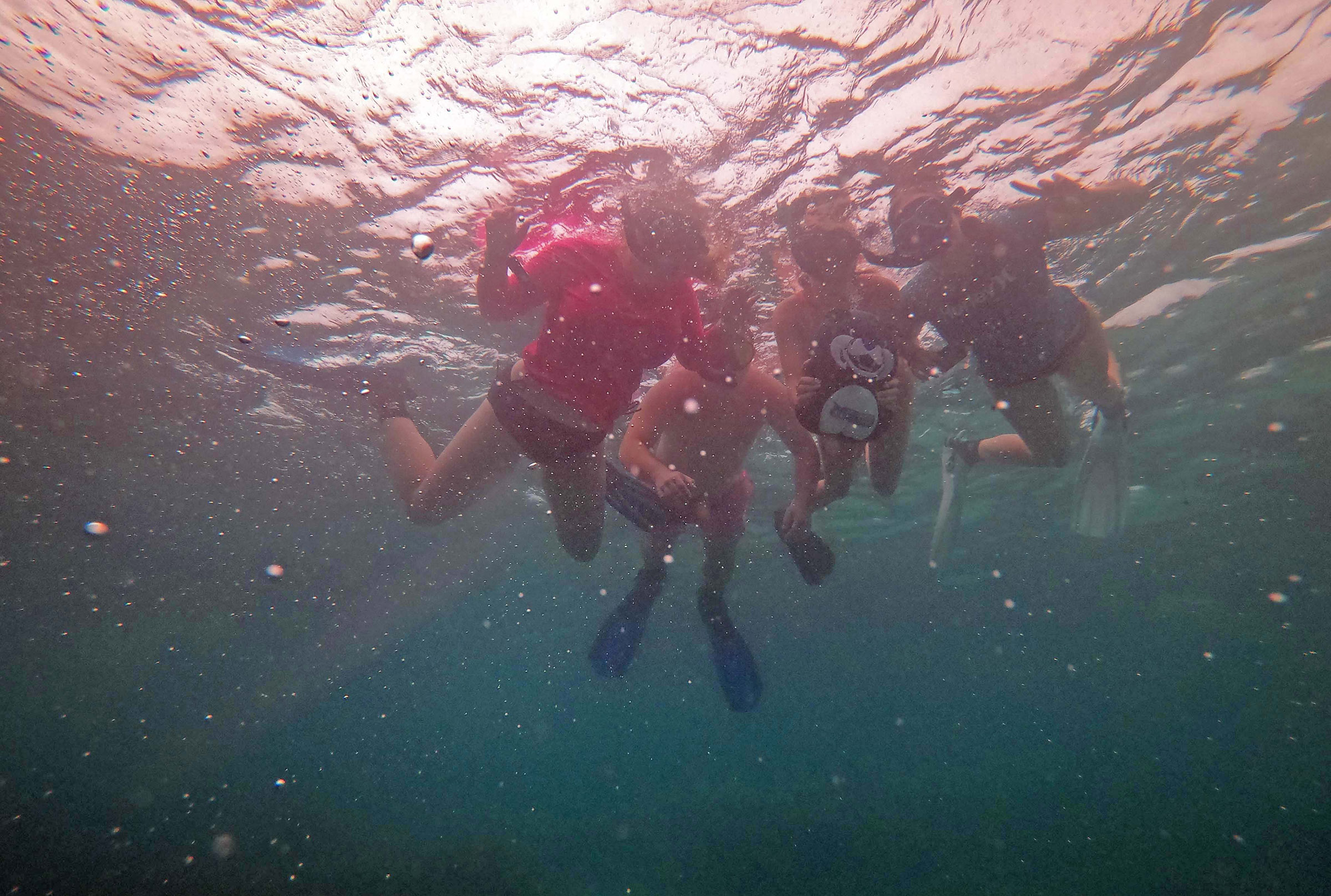 Okinawa Study Abroad snorkeling