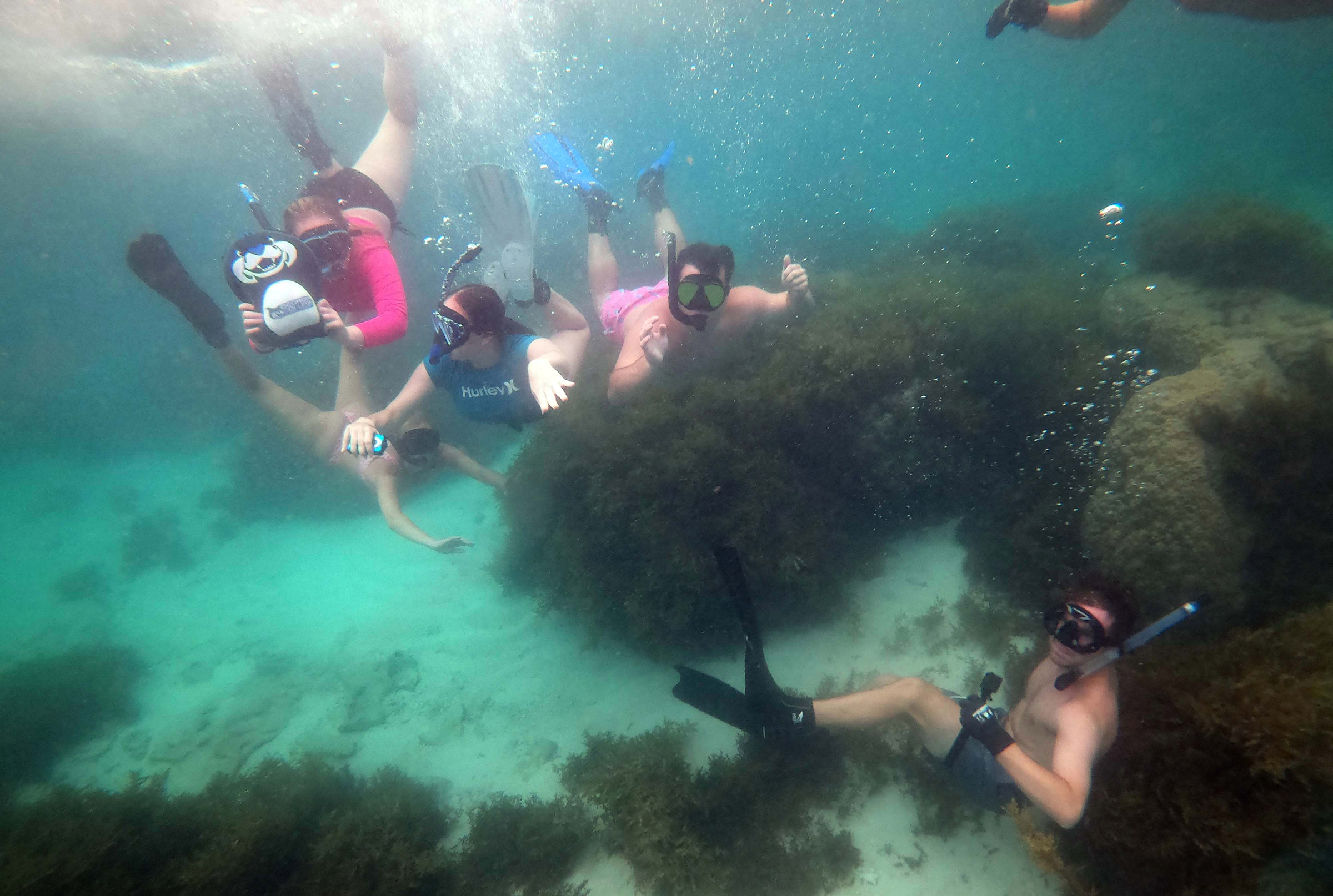 Okinawa Study Abroad snorkeling