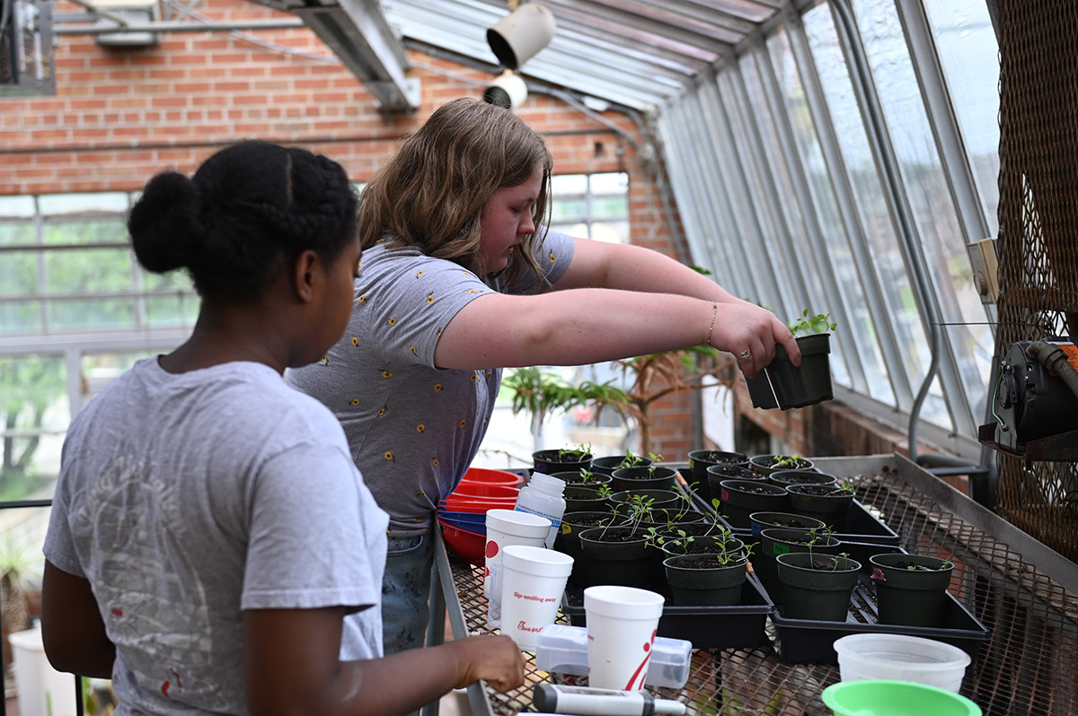 Students at the revamped Rural Youth in Business summer program learning about entrepreneurship through an agribusiness lens. (Photo: Gil Pound)