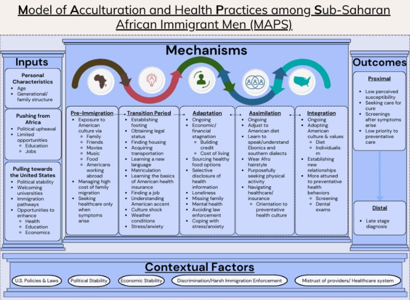 The infographic created through the study defines reasons for immigration, the various phases of acculturation, possible outcomes and added context for why immigrants may be deprioritizing preventive health screenings.