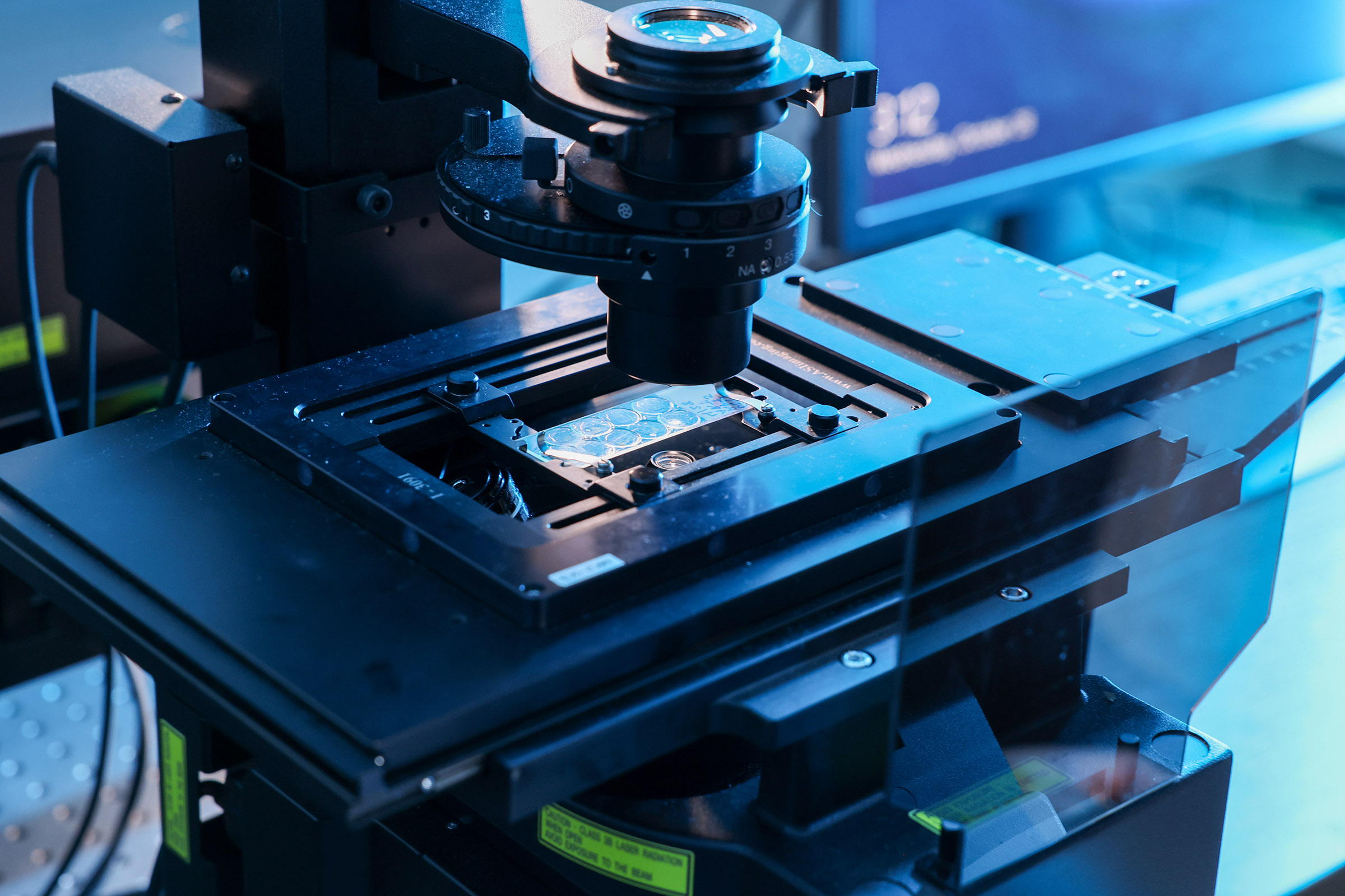 confocal microscope