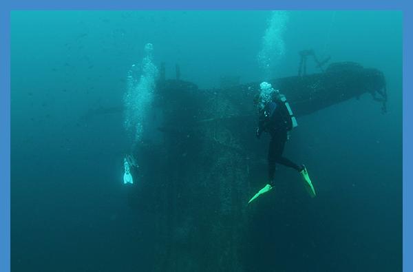 Alumnus' show on PBS NOVA builds awareness about invasive lionfish