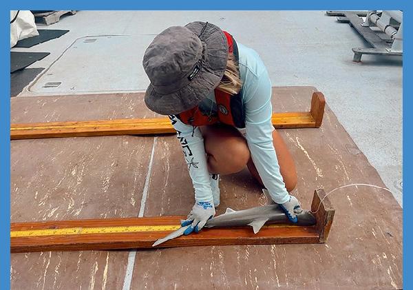 Marine scientist plays vital role in oceanic fish population