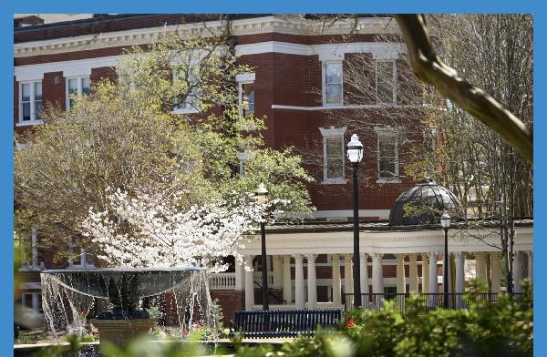 Happy Spring, Bobcats!