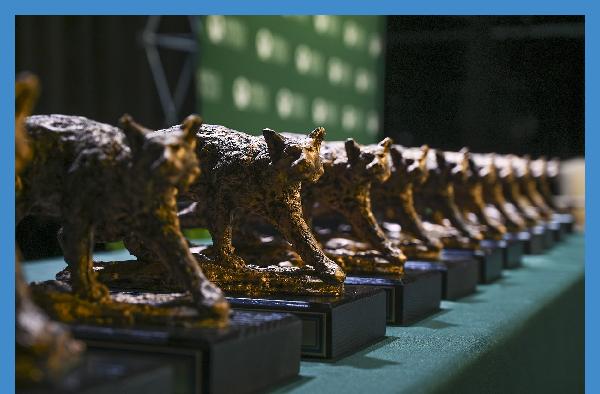2025 Celebration of Excellence Awards