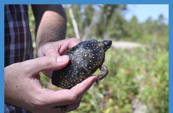 Three-Million Dollar Man: Alumnus Houston Chandler protects native Georgia wildlife