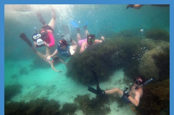 GCSU study abroad group dives deep into Japanese coral reef biology