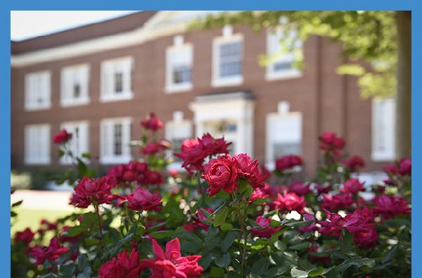 Roses are just one of the many floral varieties on Front Campus