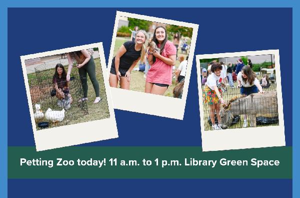 Petting Zoo