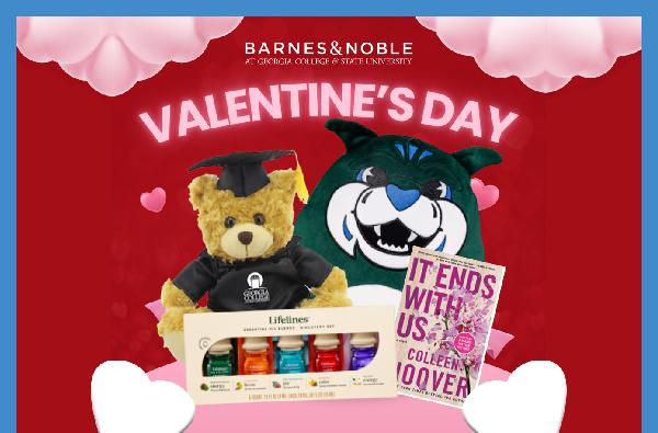 Barnes & Noble - February sales