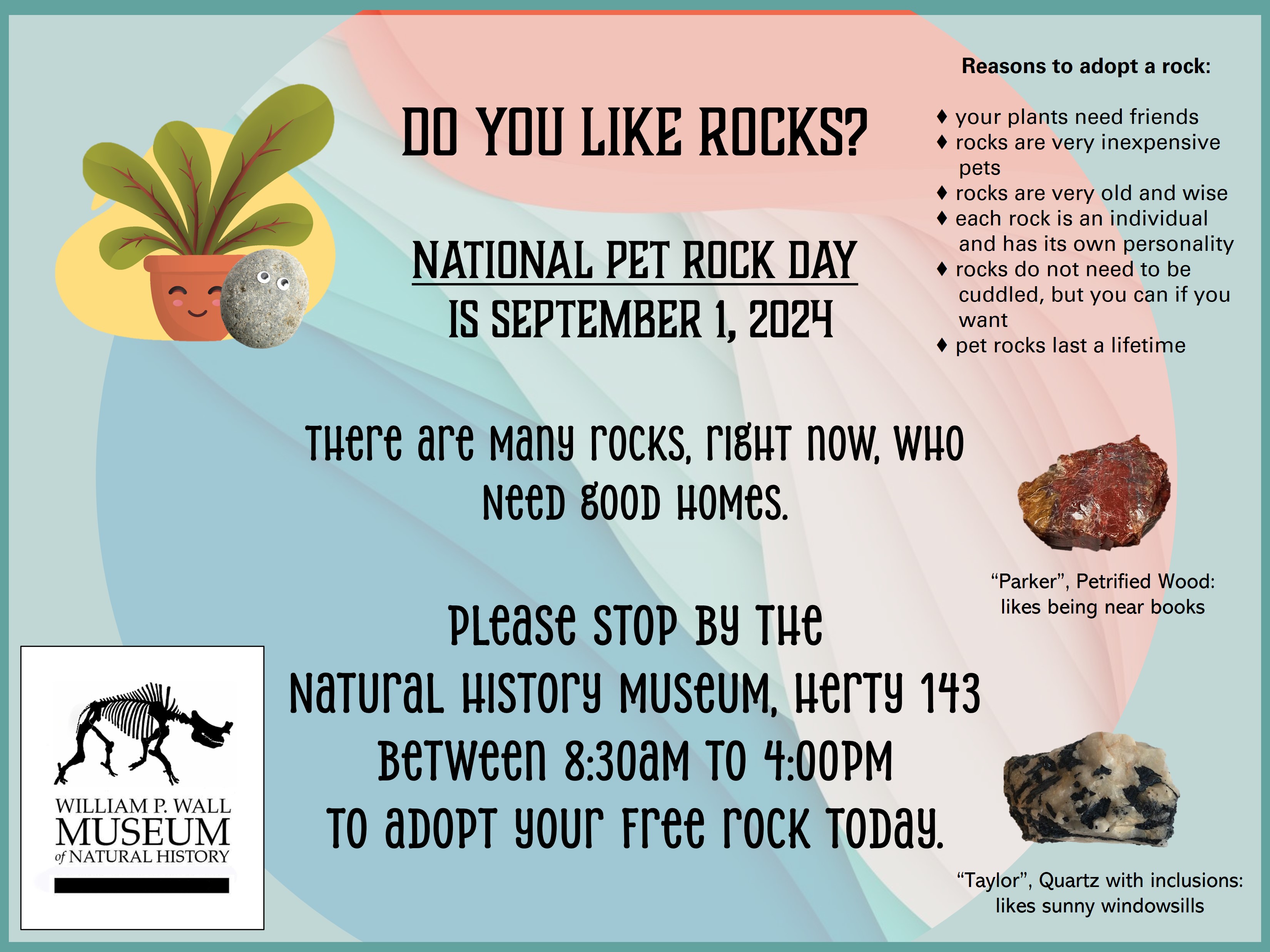 Adopt a Rock - National Pet Rock Day