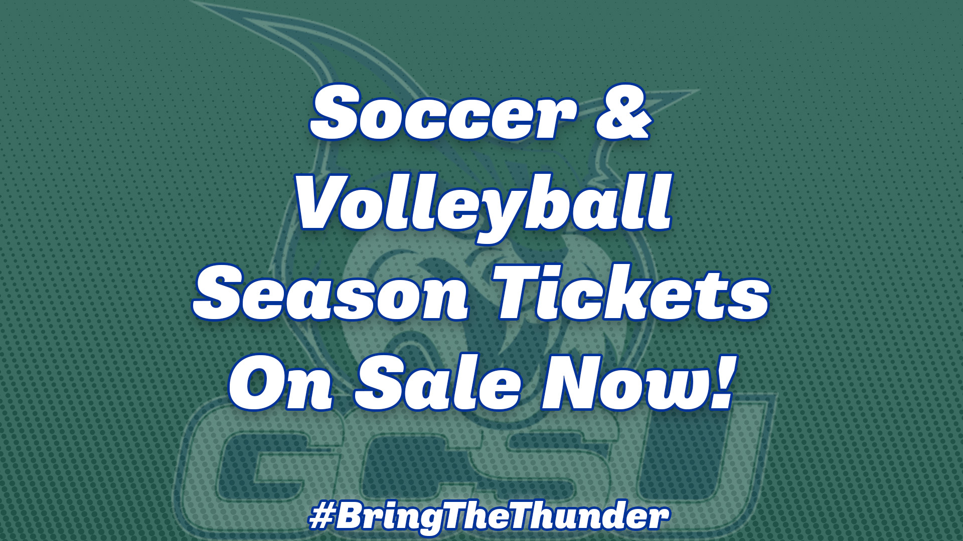 Volleyball, soccer season tickets
